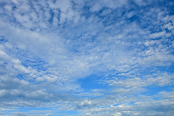 Blue sky and tiny white clouds for background.