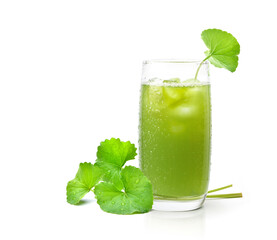 Gotu kola juice ice cool drink with fresh leaves isolated on white background. - obrazy, fototapety, plakaty