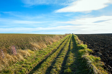 Plowed field under the background of blue sky