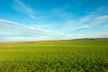 Fototapeta na wymiar Plowed field under the background of blue sky
