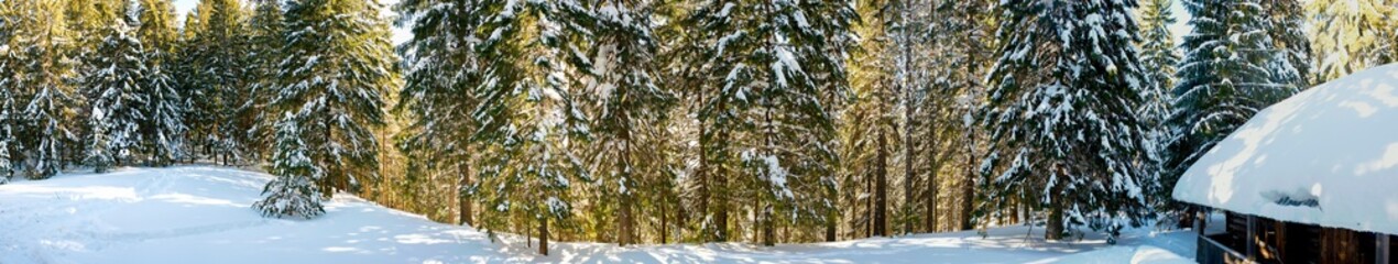 Obraz premium Panorama of a house in the winter forest