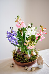 Easter composition from hyacinths flowers and quail eggs on linen tablecloth. Zero Waste Easter