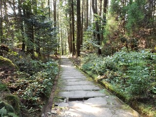 Kirishima Jingu Shrine