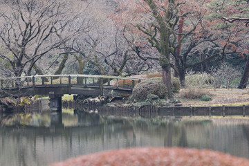 Fototapeta premium 日本庭園の写真