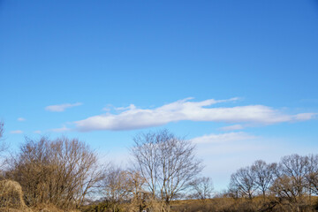 空