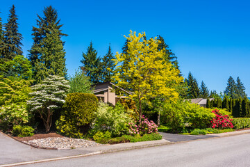 A very neat and colorful home with gorgeous outdoor landscape in suburbs of Vancouver, Canada