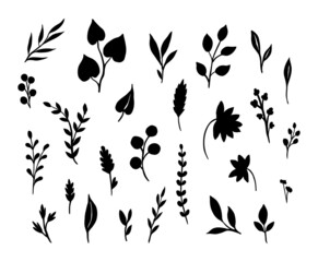 Naklejka premium Set of botanical elements isolated on white background. Forest herbs, leaves, branches, spikelets are drawn by hand with ink. Vector natural silhouettes. Herbarium design for cosmetics, tea.