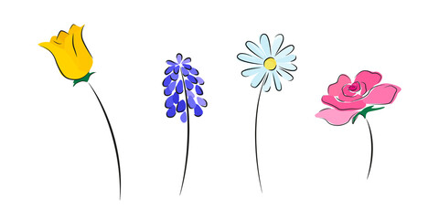 Set of 4 hand drawn spring flowers, Easter flowers, wedding, Mother's Day celebrations. Yellow tulip, purple hyacinth, white daisy and pink rose collection. 