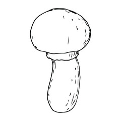 Mushroom. Vector illustration. Isolated on white. Hand-drawn style.