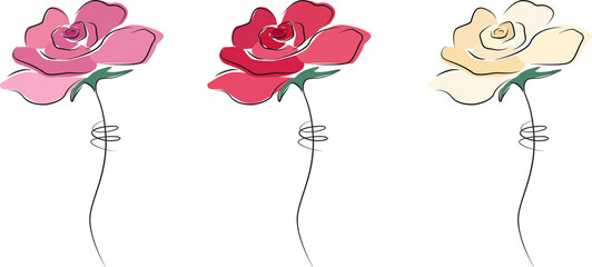 Set of 3 hand drawn delicate roses in pink, red and white.  For Valentine's Day, Mother's Day, Easter, Birthday celebrations. 