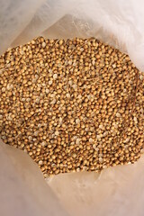 Dried coriander seeds on a polybag