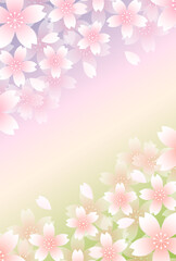 Fototapeta na wymiar 桜　和柄　水彩　背景