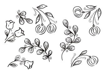 Monochrome Set flower and leave. Provence illustration