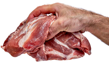 A hand holding a piece of meat on a white background