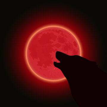 Silhouette of a wolf howling at night at the big red moon. Vector illustration.