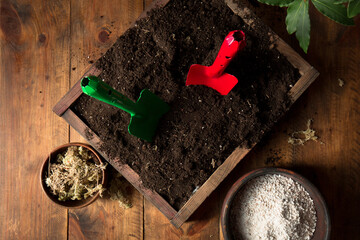 Soil with shovels for transplanting plants, top view