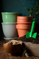 Soil and moss for transplanting plants