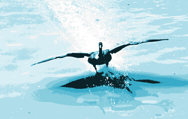 Naklejka premium Vector illustration of a Canada Goose landing on water with teal colouring. 