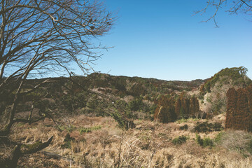 養老渓谷の山々