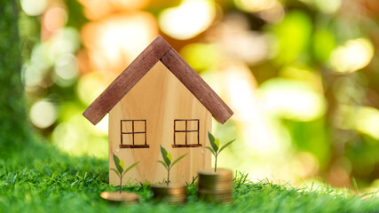 Investor of real estate.  The plants growing on money coin stack for investment home.   Investment mortgage fund finance and interest rate home loan,  green nature background Investment Concept