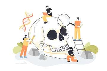 Tiny people examining huge skull of Neanderthal. Persons doing DNA or Paleolithic research in museum, prehistoric fossil flat vector illustration. Anthropology, sociology, history concept for banner