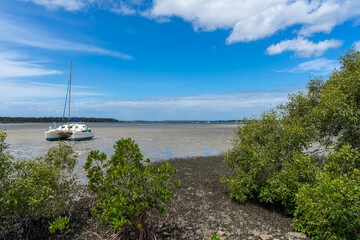 View past mangrove trees to a catamaran on the sand at low tide. Tin Can Bay, Queensland, Australia 