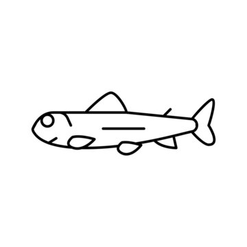 fry salmon line icon vector illustration