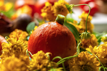 Happy Thanksgiving background with autumn vegetables and colorful leaves. Autumn concept with pumpkin and flowers. Selective focus.