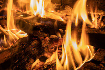 Naklejka premium 焚き火