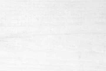 Fototapeta premium White wooden wall texture for background. copy space