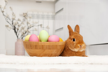Cute adorable brown Easter bunny rabbit sitting on table near colourful eggs in kitchen at home, looking at camera.Pets, animals lifestyle
