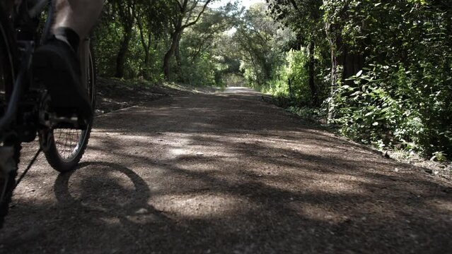 young man rides mountain bike in forest trail slow motion 4k