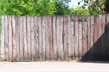 Fototapeta premium Wood plank fence old wall background with floor and green plant tree natural on background