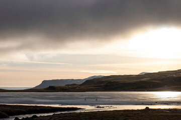 Zwei Schwäne im einsetzenden Abendlicht am Svínavatn im Westen Islands. / Two swans in the setting evening light at Svínavatn in the west of Iceland.