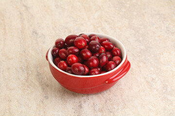 Ripe sweet tasty cranberry in the bowl