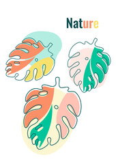 Monstera leaves in modern paper cut style. Multi-colored parts. Can be used for advertising and promotion. Vector