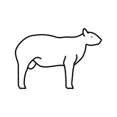 texel sheep line icon vector illustration