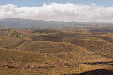 Panocamic landscape from waimea canyon in Kauai, Hawai