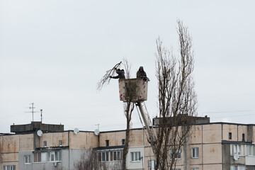 the process of pruning emergency trees and branches on city streets