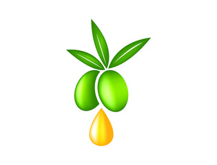 olive oil drop with olives and leaves vector illustration 