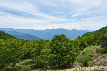 Fototapeta na wymiar 長野県飯田市　しらびそ高原からの眺め 