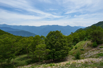 長野県飯田市　しらびそ高原からの眺め
