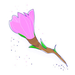 flower magnolia