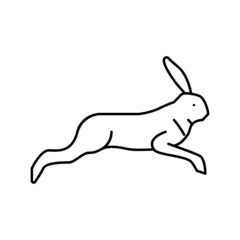 hare wild animal line icon vector illustration