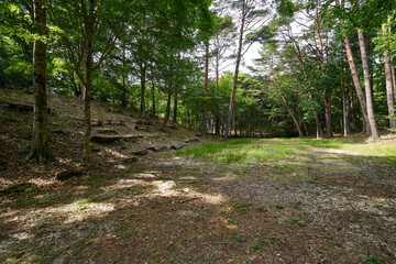 静岡県　青崩峠へ続く兵越林道
