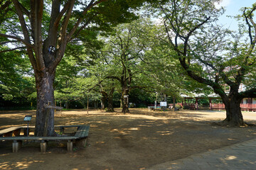 神奈川県　生田緑地　枡形山の山頂広場
