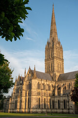Fototapeta premium The spire of Salisbury Cathedral, Wiltshire, against a clear blue sky at golden hour. July 2021