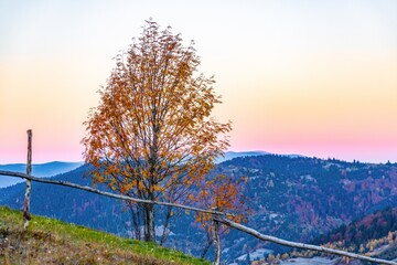 Grassy slope and wooden fence against forestry mountains