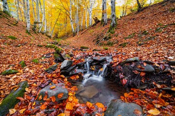 Beautiful Waterfall Shipot close-up in the autumn forest