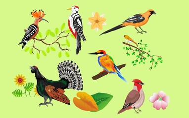 Naklejka premium Northern forest birds's set, caterpilar, kingfisher, hoopoe, woodpecker